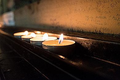 《与狼同行2》仍在制作中 但大量开发者被裁